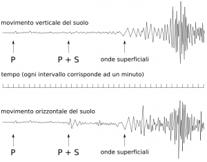 Le onde sismiche vengono captate dai sismografi ed elaborate in modo tale da rilevare la potenza sprigionata durante un terremoto .