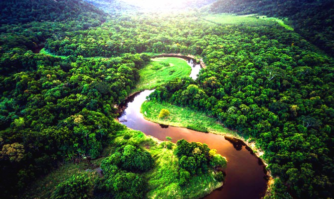 La Foresta Amazzonica.
