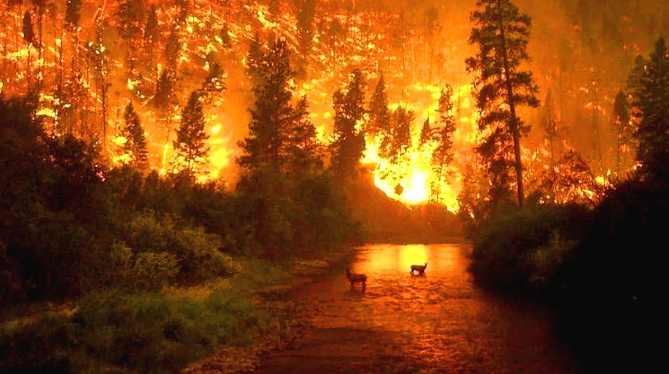 La Foresta Amazzonica in fiamme.
