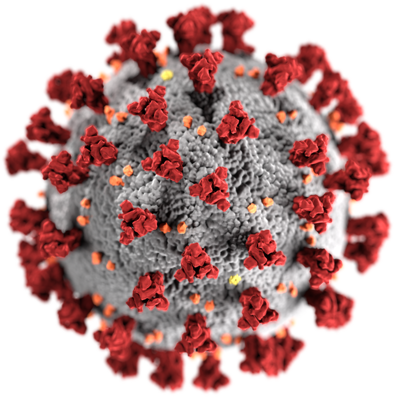 Immagine del virus Sars-Cov-2 responsabile della malattia Covid-19 ;